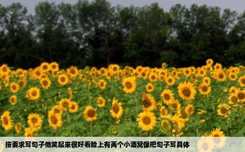 按要求写句子他笑起来很好看脸上有两个小酒窝像把句子写具体