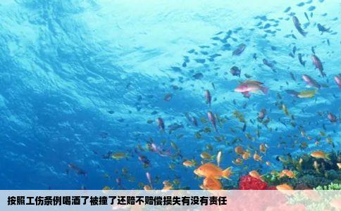 按照工伤条例喝酒了被撞了还赔不赔偿损失有没有责任