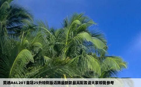 奥迪A6L20T皇冠25升特别版迈腾最新款最高配置请大家帮我参考