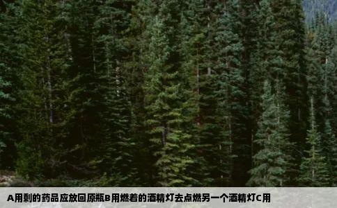 A用剩的药品应放回原瓶B用燃着的酒精灯去点燃另一个酒精灯C用