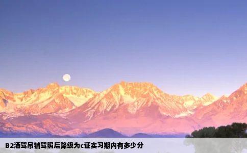 B2酒驾吊销驾照后降级为c证实习期内有多少分