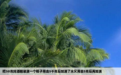 把50克纯酒精装满一个瓶子用去5千克后加满了水又用去5克后再加满