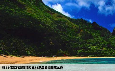 把99浓度的酒精稀释成75浓度的酒精怎么办