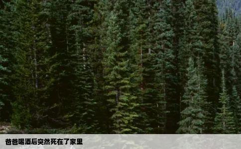 爸爸喝酒后突然死在了家里