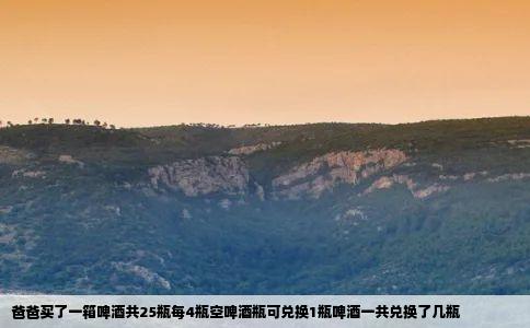 爸爸买了一箱啤酒共25瓶每4瓶空啤酒瓶可兑换1瓶啤酒一共兑换了几瓶