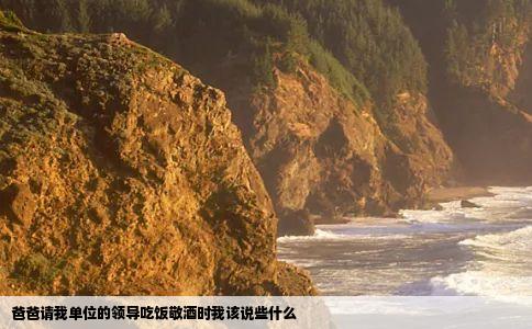 爸爸请我单位的领导吃饭敬酒时我该说些什么