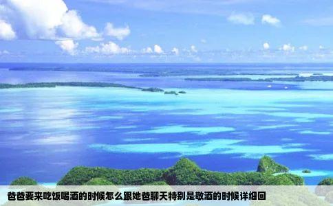 爸爸要来吃饭喝酒的时候怎么跟她爸聊天特别是敬酒的时候详细回