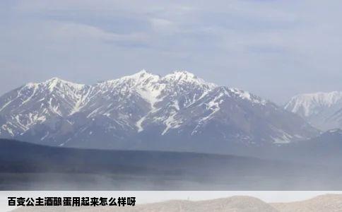 百变公主酒酿蛋用起来怎么样呀