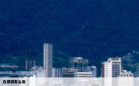 白茶饼怎么泡