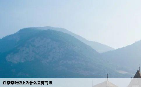 白茶茶叶边上为什么会有气泡