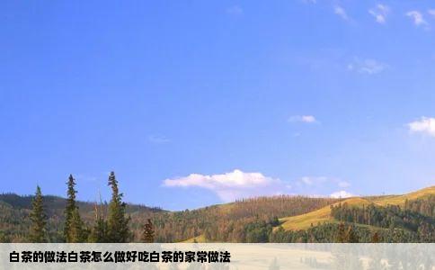白茶的做法白茶怎么做好吃白茶的家常做法