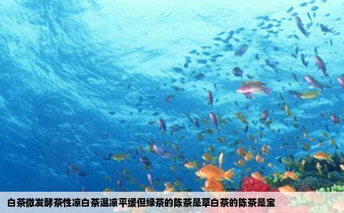 白茶微发酵茶性凉白茶温凉平缓但绿茶的陈茶是草白茶的陈茶是宝