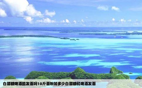 白醋糖啤酒能发面吗10斤面粉加多少白醋糖和啤酒发面