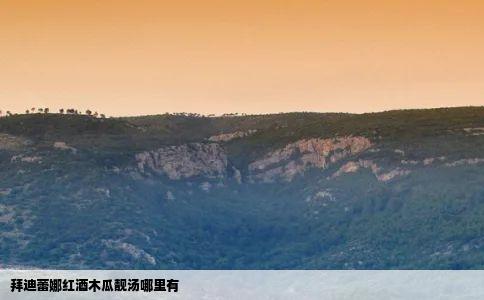 拜迪蕾娜红酒木瓜靓汤哪里有