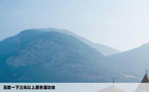 百度一下三年以上黑枣酒功效