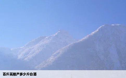 百斤高粮产多少斤白酒