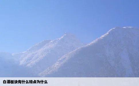 白酒板块有什么特点为什么