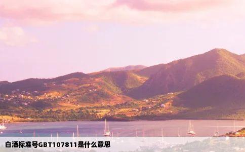 白酒标准号GBT107811是什么意思