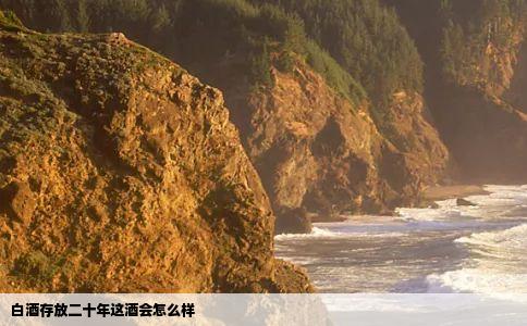 白酒存放二十年这酒会怎么样