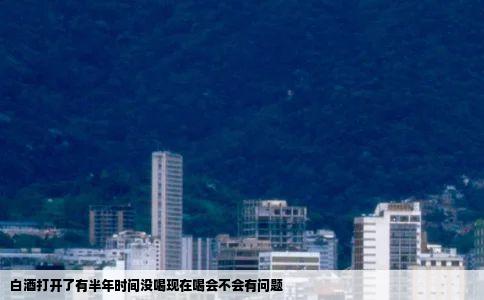 白酒打开了有半年时间没喝现在喝会不会有问题