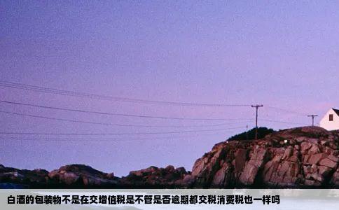 白酒的包装物不是在交增值税是不管是否逾期都交税消费税也一样吗