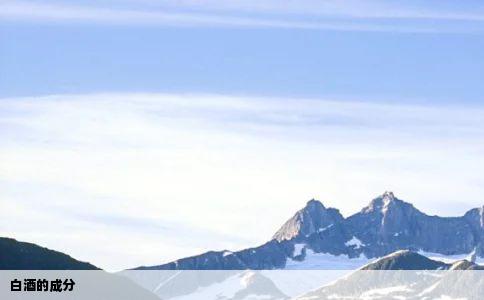 白酒的成分