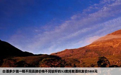 白酒多少钱一瓶不同品牌价格不同较好的52度纯粮酒批发价580元