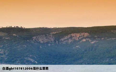 白酒gbt107812006是什么意思