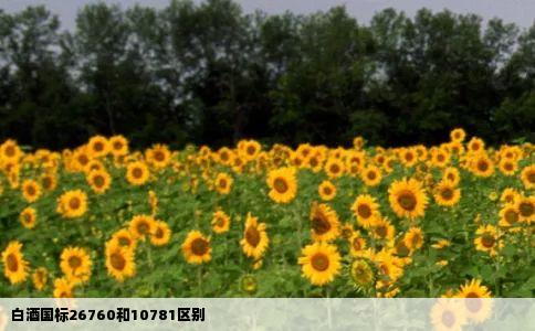 白酒国标26760和10781区别