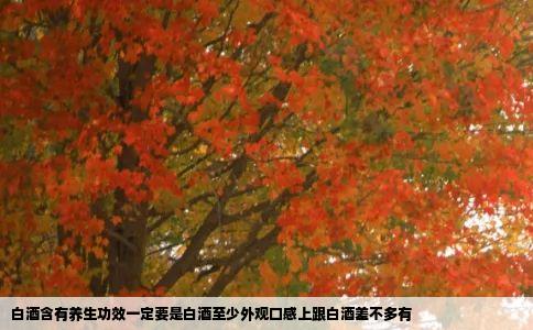 白酒含有养生功效一定要是白酒至少外观口感上跟白酒差不多有