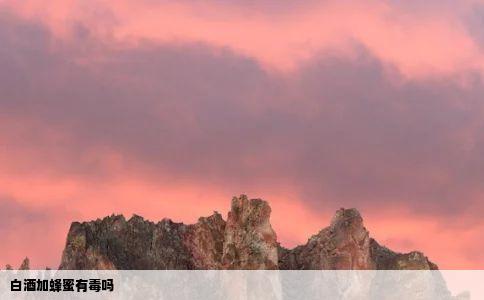 白酒加蜂蜜有毒吗