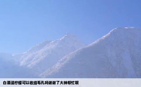 白酒浸柠檬可以收缩毛孔吗谢谢了大神帮忙啊