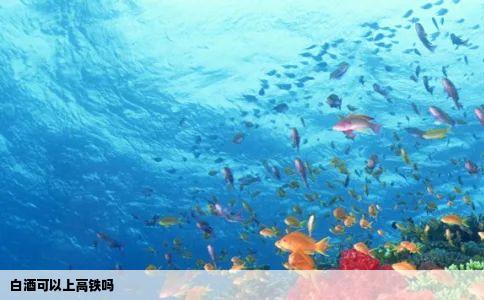 白酒可以上高铁吗