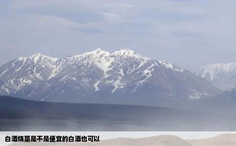 白酒烧菜是不是便宜的白酒也可以