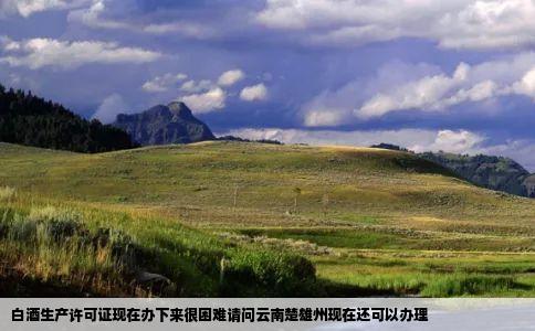 白酒生产许可证现在办下来很困难请问云南楚雄州现在还可以办理