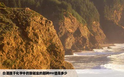 白酒属于化学中的酸碱盐的那种PH值是多少