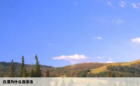 白酒为什么会浑浊
