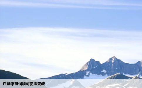 白酒中加何物可使酒变酸