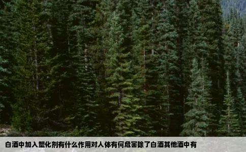 白酒中加入塑化剂有什么作用对人体有何危害除了白酒其他酒中有