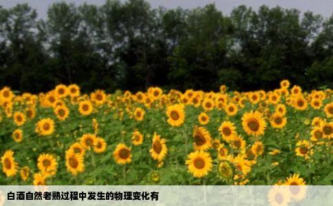 白酒自然老熟过程中发生的物理变化有