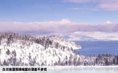 白兰地酒是啥味跟白酒差不多吧