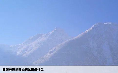 白啤黄啤黑啤酒的区别是什么