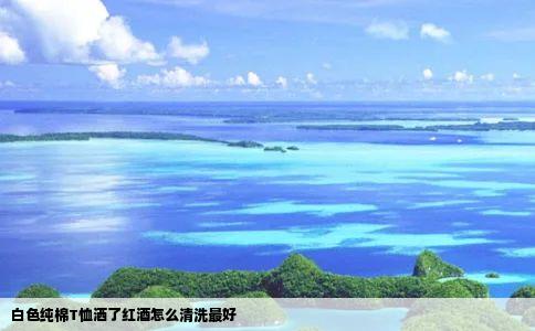 白色纯棉T恤洒了红酒怎么清洗最好