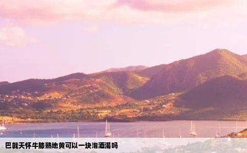 巴戟天怀牛膝熟地黄可以一块泡酒渴吗