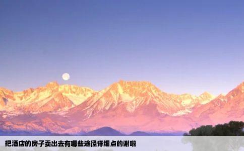 把酒店的房子卖出去有哪些途径详细点的谢啦