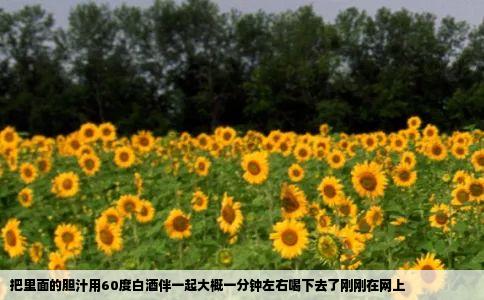 把里面的胆汁用60度白酒伴一起大概一分钟左右喝下去了刚刚在网上