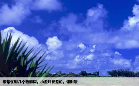 帮帮忙想几个敬酒词。小辈对长辈的。谢谢啦