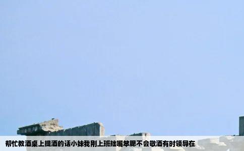 帮忙教酒桌上提酒的话小妹我刚上班拙嘴笨腮不会敬酒有时领导在