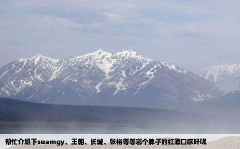 帮忙介绍下suamgy、王朝、长城、张裕等等哪个牌子的红酒口感好呢