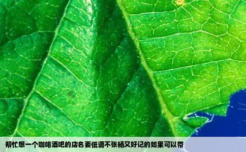 帮忙想一个咖啡酒吧的店名要低调不张杨又好记的如果可以带